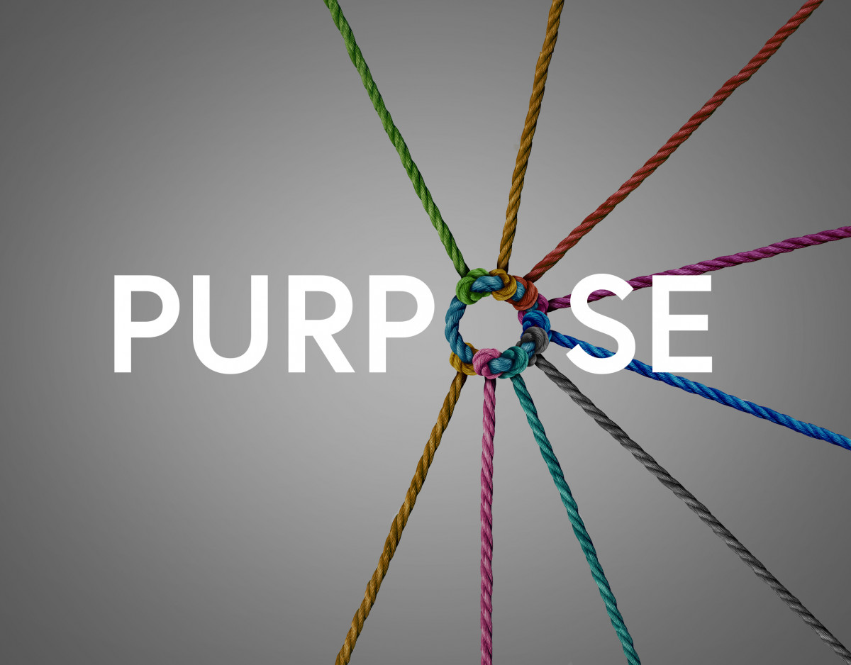 Is there a problem with purpose?